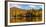 Reflection of autumn trees in a pond, Sally's Pond, West Bolton, Quebec, Canada-null-Framed Photographic Print