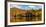 Reflection of autumn trees in a pond, Sally's Pond, West Bolton, Quebec, Canada-null-Framed Photographic Print