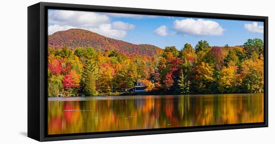 Reflection of autumn trees in a pond, Sally's Pond, West Bolton, Quebec, Canada-null-Framed Premier Image Canvas