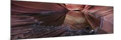 Premium Photographic Print
