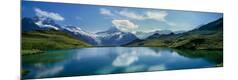 Photographic Print