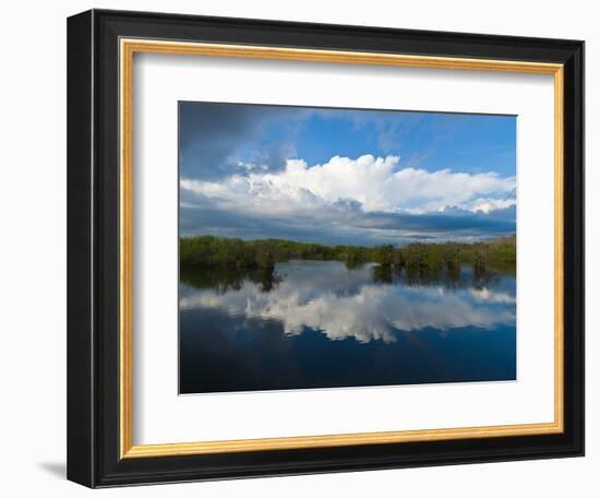 Reflection of Clouds on Water, Everglades National Park, Florida, USA-null-Framed Photographic Print