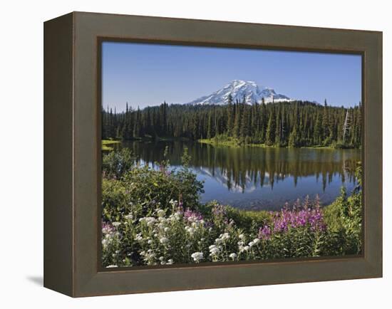 Reflection of Mountain and Trees in Lake, Mt Rainier National Park, Washington State, USA-null-Framed Premier Image Canvas