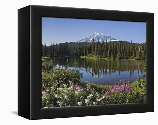 Reflection of Mountain and Trees in Lake, Mt Rainier National Park, Washington State, USA-null-Framed Premier Image Canvas