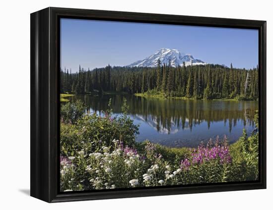 Reflection of Mountain and Trees in Lake, Mt Rainier National Park, Washington State, USA-null-Framed Premier Image Canvas