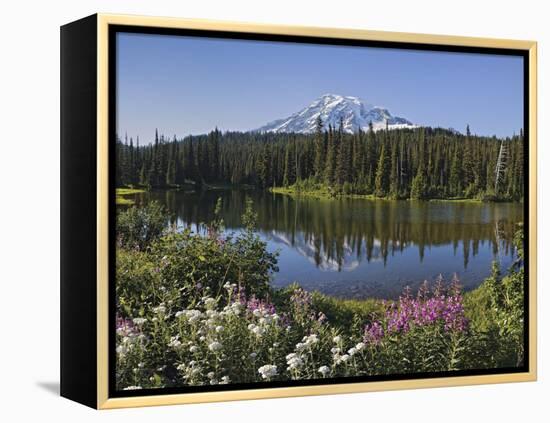 Reflection of Mountain and Trees in Lake, Mt Rainier National Park, Washington State, USA-null-Framed Premier Image Canvas