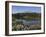 Reflection of Mountain and Trees in Lake, Mt Rainier National Park, Washington State, USA-null-Framed Photographic Print