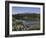 Reflection of Mountain and Trees in Lake, Mt Rainier National Park, Washington State, USA-null-Framed Photographic Print