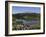 Reflection of Mountain and Trees in Lake, Mt Rainier National Park, Washington State, USA-null-Framed Photographic Print