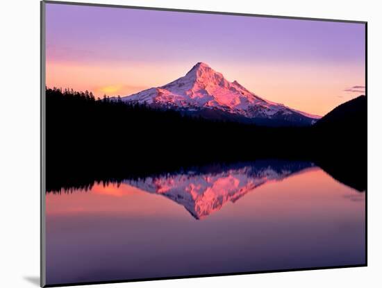 Reflection of mountain range in a lake, Mt Hood, Lost Lake, Mt Hood National Forest, Oregon, USA-null-Mounted Photographic Print