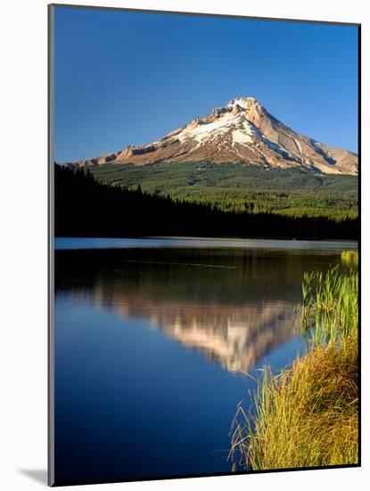 Reflection of mountain range in a lake, Mt Hood, Trillium Lake, Mt Hood National Forest, Clackam...-null-Mounted Photographic Print