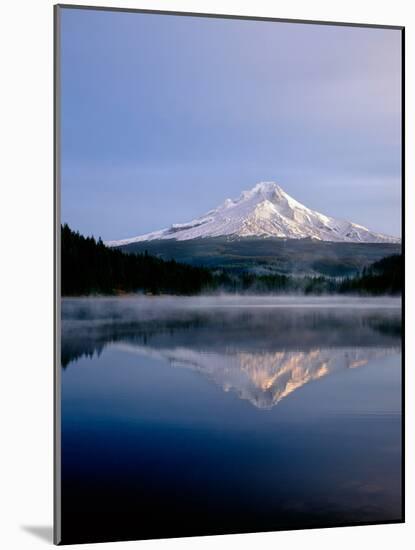 Reflection of mountain range in a lake, Mt Hood, Trillium Lake, Mt Hood National Forest, Oregon...-null-Mounted Photographic Print