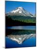 Reflection of mountain range in a lake, Mt Hood, Trillium Lake, Mt Hood National Forest, Oregon...-null-Mounted Photographic Print