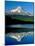 Reflection of mountain range in a lake, Mt Hood, Trillium Lake, Mt Hood National Forest, Oregon...-null-Mounted Photographic Print