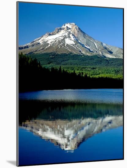 Reflection of mountain range in a lake, Mt Hood, Trillium Lake, Mt Hood National Forest, Oregon...-null-Mounted Photographic Print