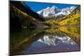 Photographic Print
