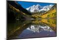 Photographic Print