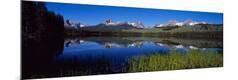 Photographic Print