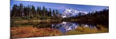 Premium Photographic Print
