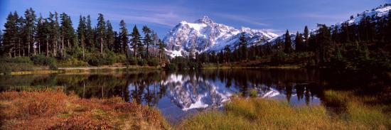 Photographic Print, , large