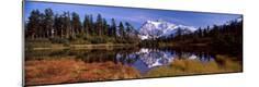 Photographic Print