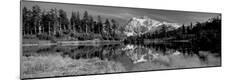 Photographic Print