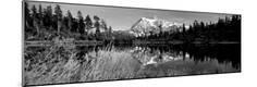 Photographic Print