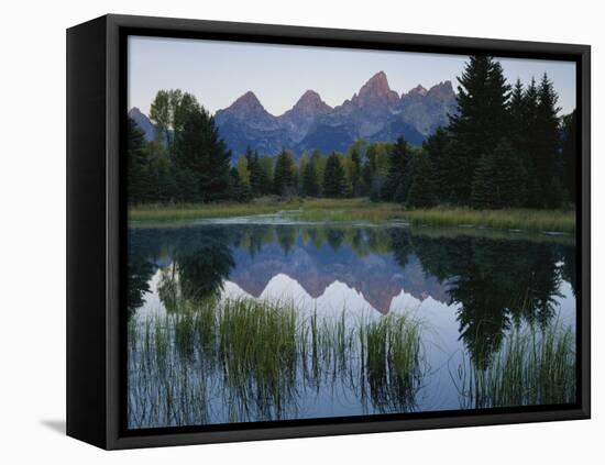 Reflection of Mountains in River, Schwabacher's Landing, Grand Teton National Park, Wyoming, USA-Scott T^ Smith-Framed Premier Image Canvas