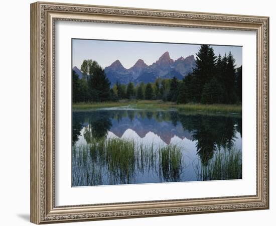 Reflection of Mountains in River, Schwabacher's Landing, Grand Teton National Park, Wyoming, USA-Scott T^ Smith-Framed Photographic Print