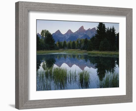 Reflection of Mountains in River, Schwabacher's Landing, Grand Teton National Park, Wyoming, USA-Scott T^ Smith-Framed Photographic Print