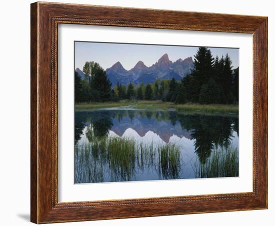 Reflection of Mountains in River, Schwabacher's Landing, Grand Teton National Park, Wyoming, USA-Scott T^ Smith-Framed Photographic Print