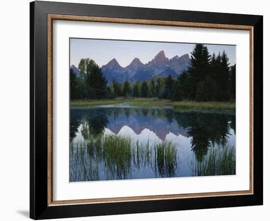 Reflection of Mountains in River, Schwabacher's Landing, Grand Teton National Park, Wyoming, USA-Scott T^ Smith-Framed Photographic Print