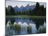 Reflection of Mountains in River, Schwabacher's Landing, Grand Teton National Park, Wyoming, USA-Scott T^ Smith-Mounted Photographic Print