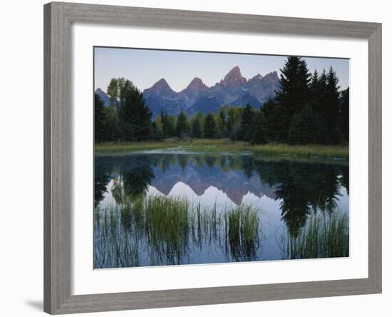 Reflection of Mountains in River, Schwabacher's Landing, Grand Teton National Park, Wyoming, USA-Scott T^ Smith-Framed Photographic Print