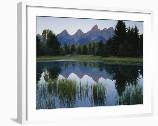 Reflection of Mountains in River, Schwabacher's Landing, Grand Teton National Park, Wyoming, USA-Scott T^ Smith-Framed Photographic Print