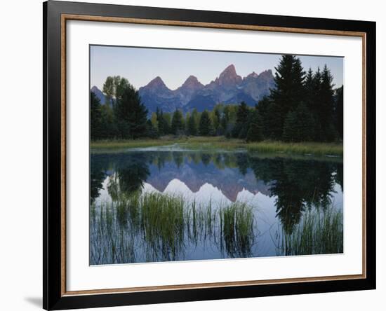 Reflection of Mountains in River, Schwabacher's Landing, Grand Teton National Park, Wyoming, USA-Scott T^ Smith-Framed Photographic Print