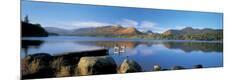 Photographic Print