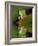 Reflection of Red-Eyed Tree Frog in Water-Dennis Flaherty-Framed Photographic Print