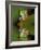 Reflection of Red-Eyed Tree Frog in Water-Dennis Flaherty-Framed Photographic Print