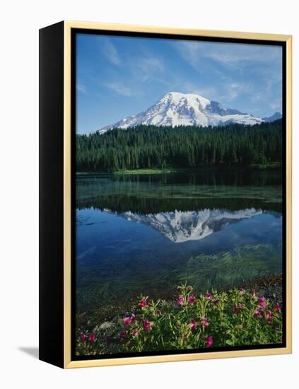 Reflection of Snowcovered Mount Rainier on Reflection Lake-James Randklev-Framed Premier Image Canvas