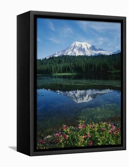 Reflection of Snowcovered Mount Rainier on Reflection Lake-James Randklev-Framed Premier Image Canvas