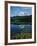 Reflection of Snowcovered Mount Rainier on Reflection Lake-James Randklev-Framed Photographic Print