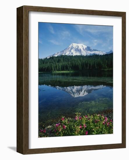 Reflection of Snowcovered Mount Rainier on Reflection Lake-James Randklev-Framed Photographic Print