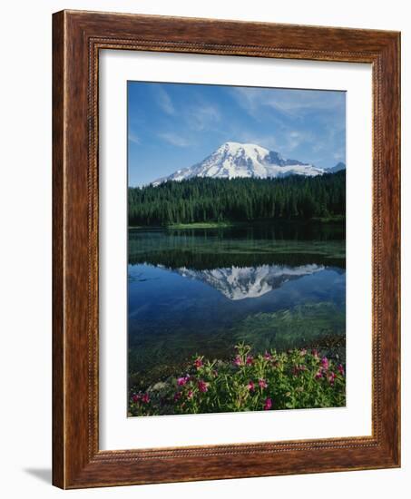 Reflection of Snowcovered Mount Rainier on Reflection Lake-James Randklev-Framed Photographic Print