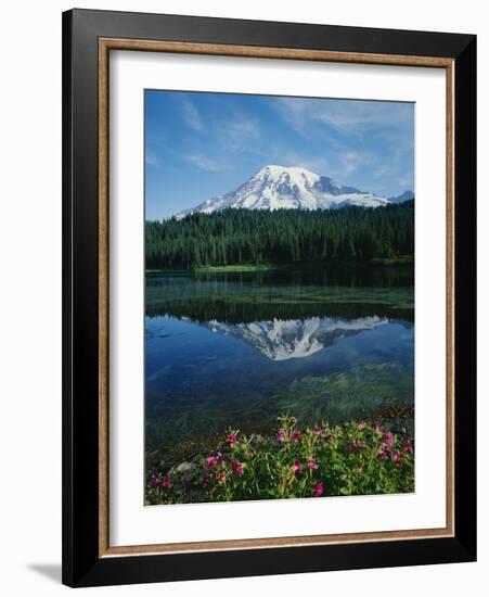 Reflection of Snowcovered Mount Rainier on Reflection Lake-James Randklev-Framed Photographic Print