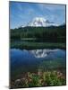 Reflection of Snowcovered Mount Rainier on Reflection Lake-James Randklev-Mounted Photographic Print