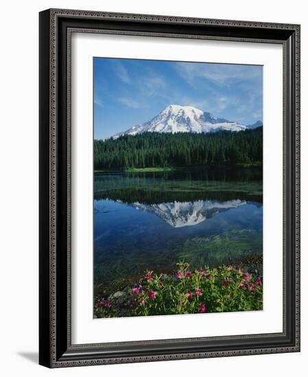 Reflection of Snowcovered Mount Rainier on Reflection Lake-James Randklev-Framed Photographic Print