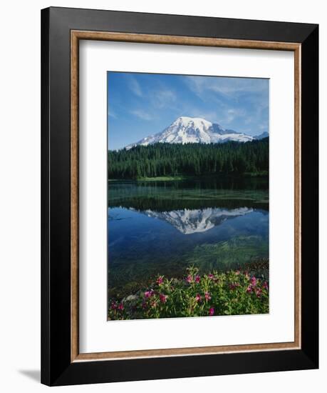 Reflection of Snowcovered Mount Rainier on Reflection Lake-James Randklev-Framed Photographic Print