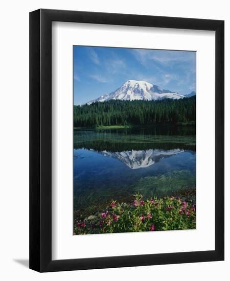 Reflection of Snowcovered Mount Rainier on Reflection Lake-James Randklev-Framed Photographic Print