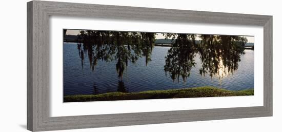 Reflection of Tree in a River, Middleton Place, Charleston, Charleston County, South Carolina, USA-null-Framed Photographic Print